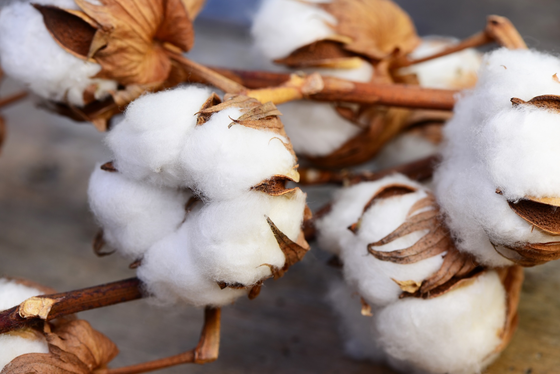 自然素材の生地